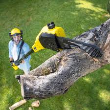 Best Pest Control for Lawns  in Harbor Beach, MI